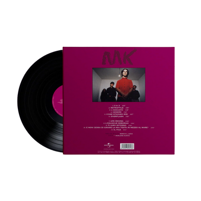 IL VILE | Vinile Standard
